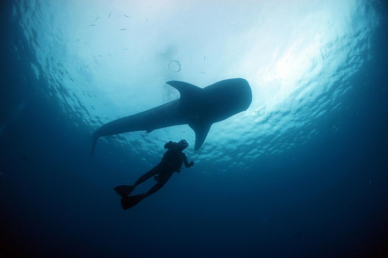 فندق Sea Blue أونا المظهر الخارجي الصورة