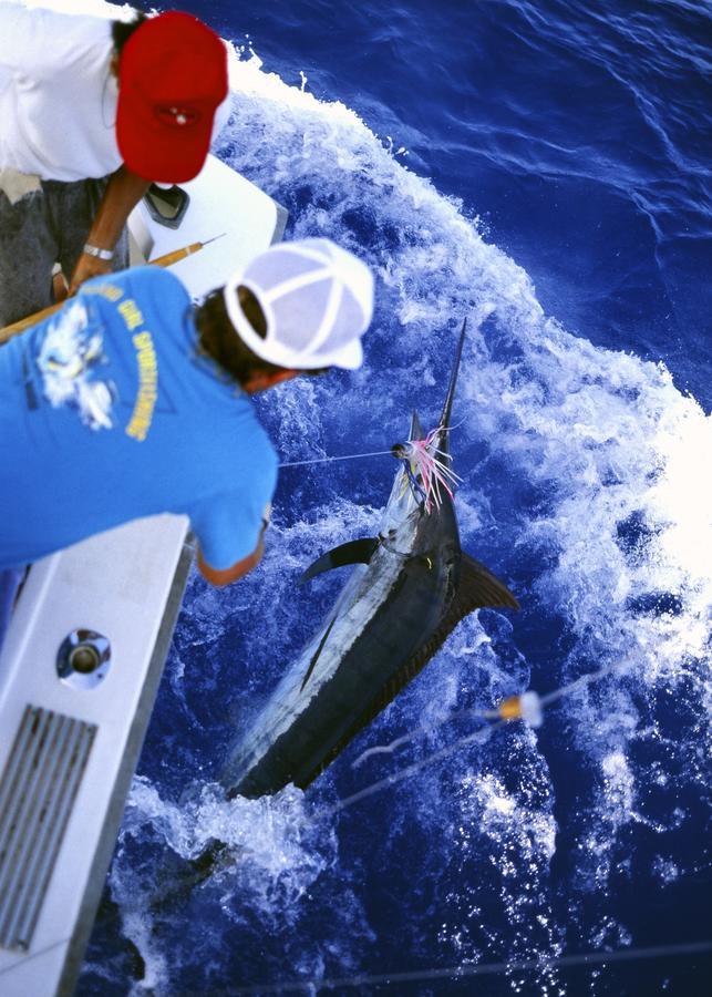 فندق Sea Blue أونا المظهر الخارجي الصورة